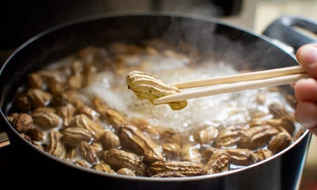 Instant Pot Boiled Peanuts