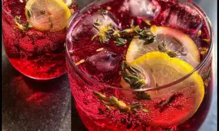 Hibiscus Ginger Detox Spritzer: A Refreshing and Healthy Treat