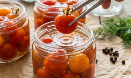 Tiny Tomato Pickles: A Deliciously Simple Pickling Delight